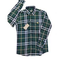 Casual Burberry Check shirt GREEN