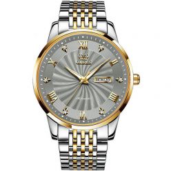OLEVS Fashion Lovers Watches Brand Luxury Automatic Mechanical Watch Stainless Steel Waterproof for Men