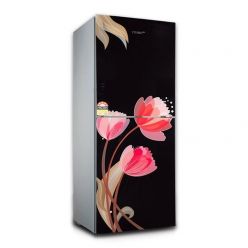VSN GD Refrigerator RE-252L Pink Tulip-Black-BM